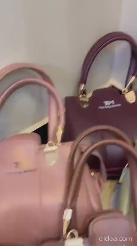 Easy to carry ladies handbag combo pack