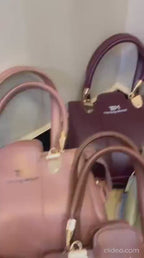 Easy to carry ladies handbag combo pack